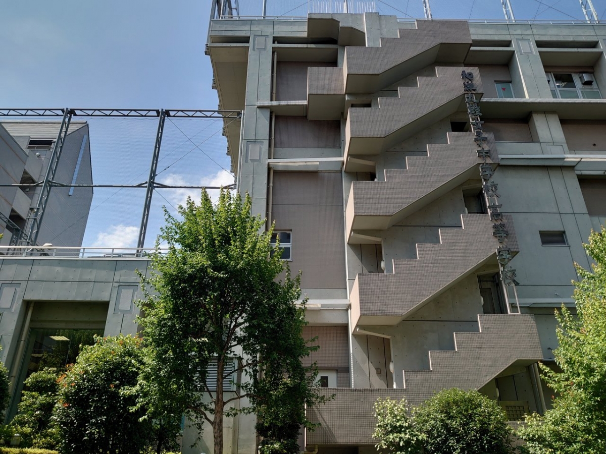 DSC_3081